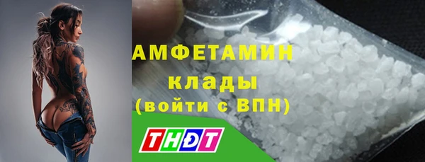 сатива Балахна