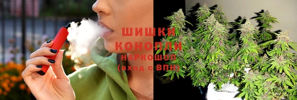 сатива Балахна